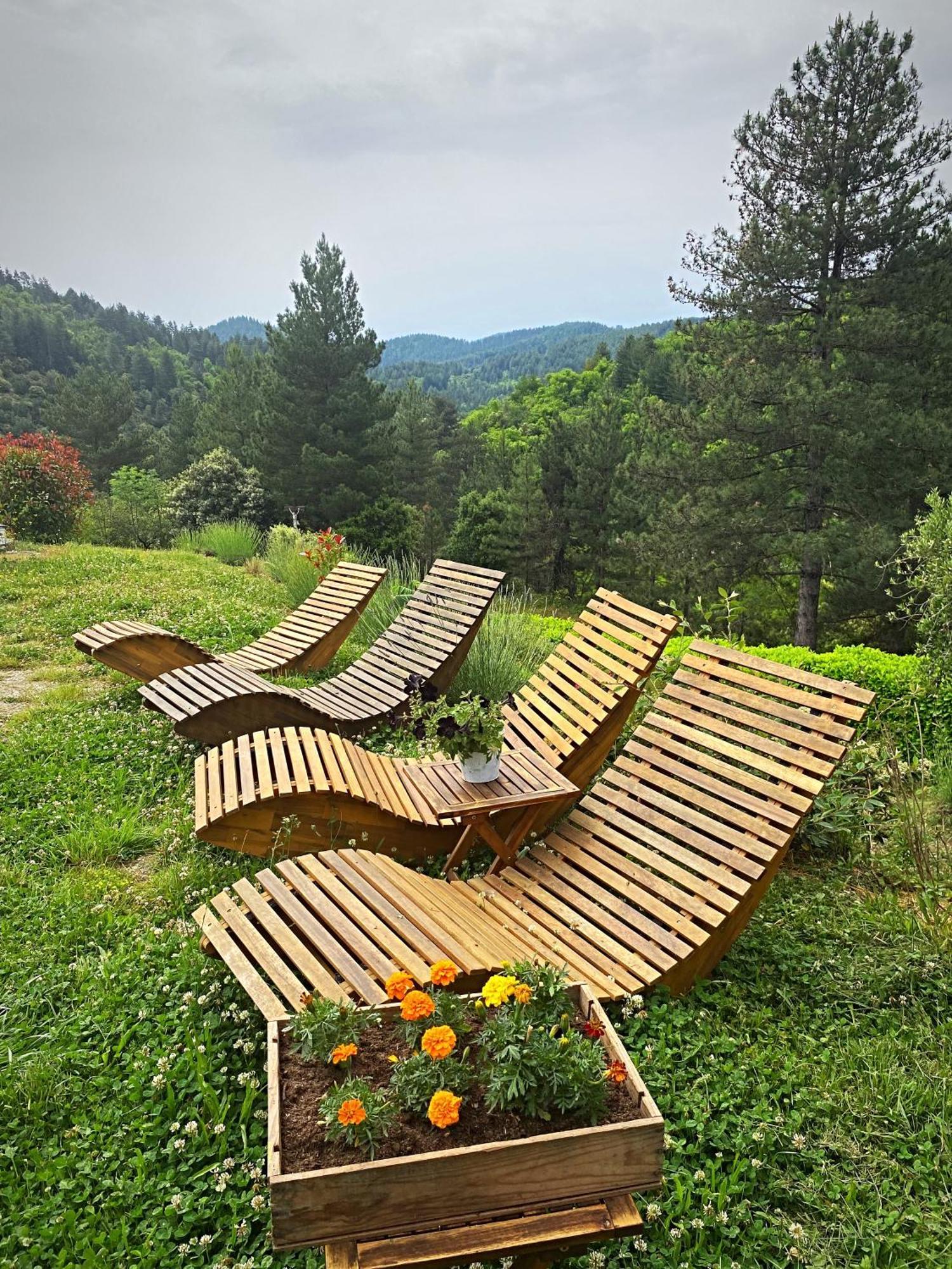 Gite L'Or Des Cevennes Saint-Andre-Capceze Exterior photo
